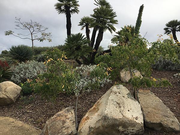 Campus foliage blooms with international distinction.(Telescope Staff/The Telescope)