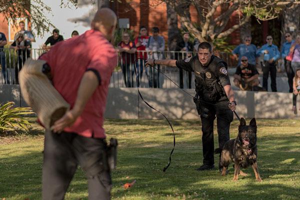 Escondido Police Officer Ryan Banks, leads a K-9 demonstration at the first Annual Public Safety Community Outreach April 5, 2017 at Palomar College. (Melissa Grant/The Telescope)