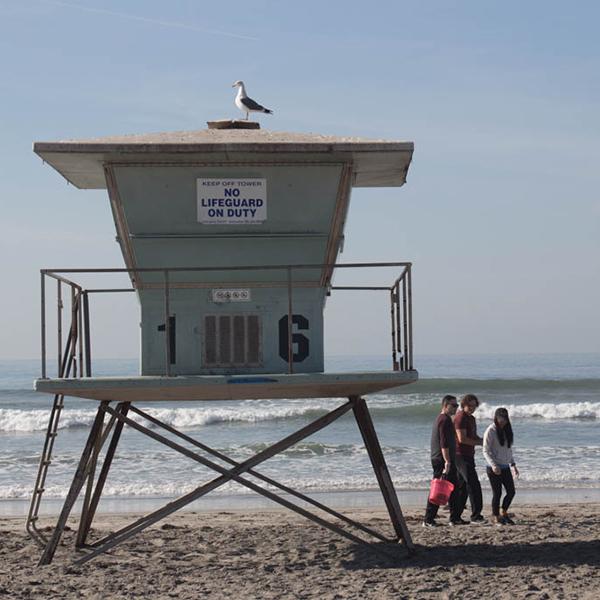 Project Nurture team on the beach. (Angel Arenas/The Telescope)