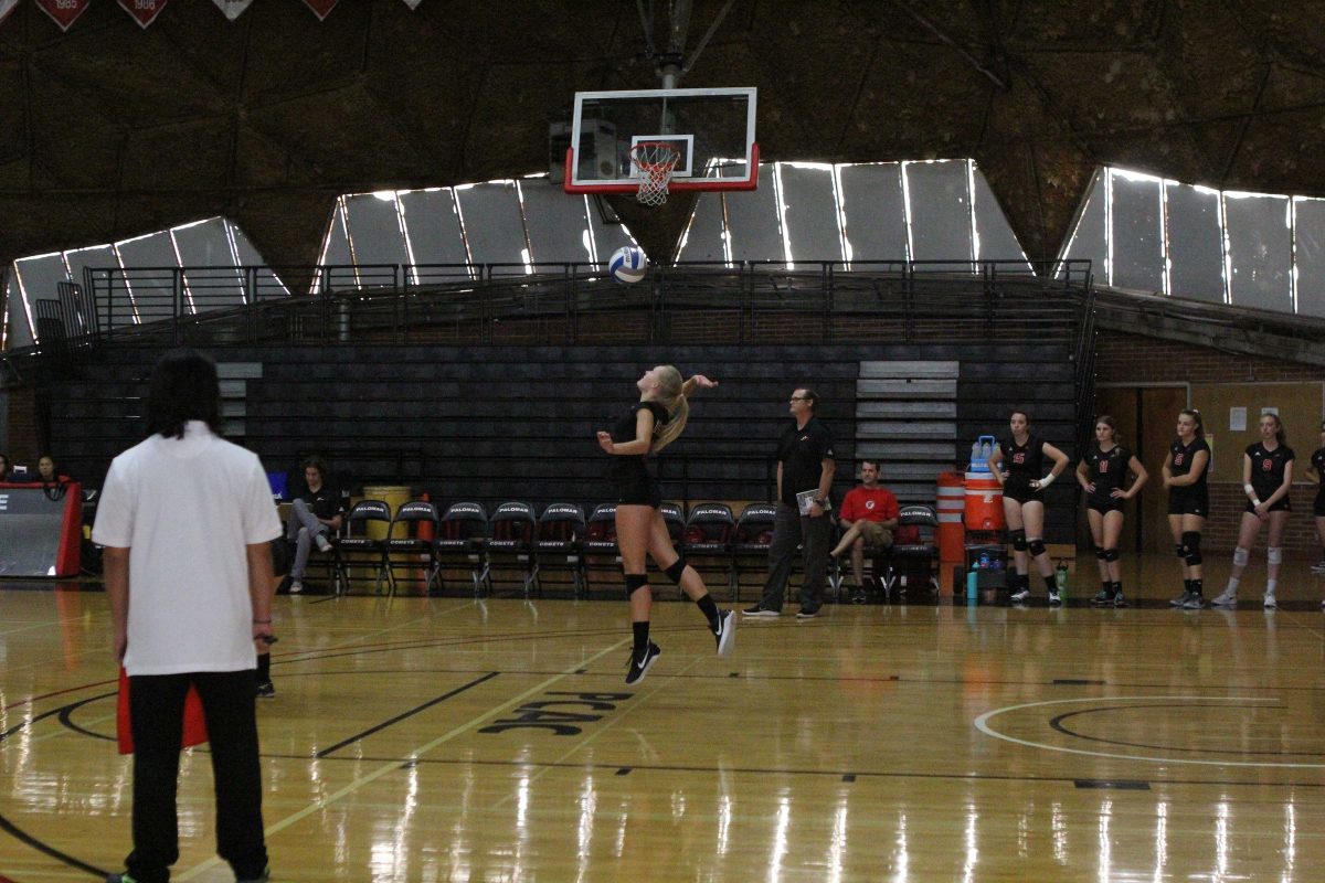 A female Palomar volleyball player serves the ball with her right hand. Several teammates and a coach watch from the sidelines. A referee stands in the foreground on the left.