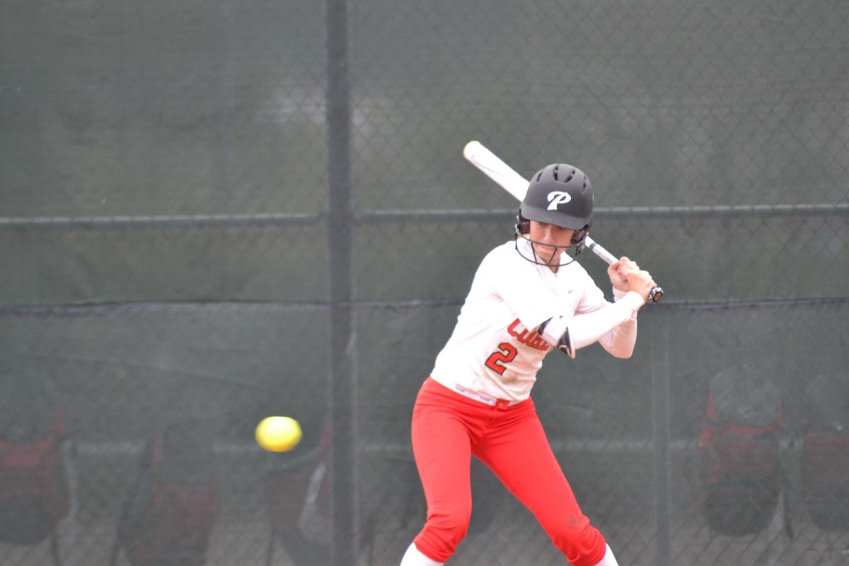 Kylie Pignone batting in the Comets 8-0 victory over Mt. San Jacinto on Feb. 20, 2019. (Krista Moore/ The Telescope)