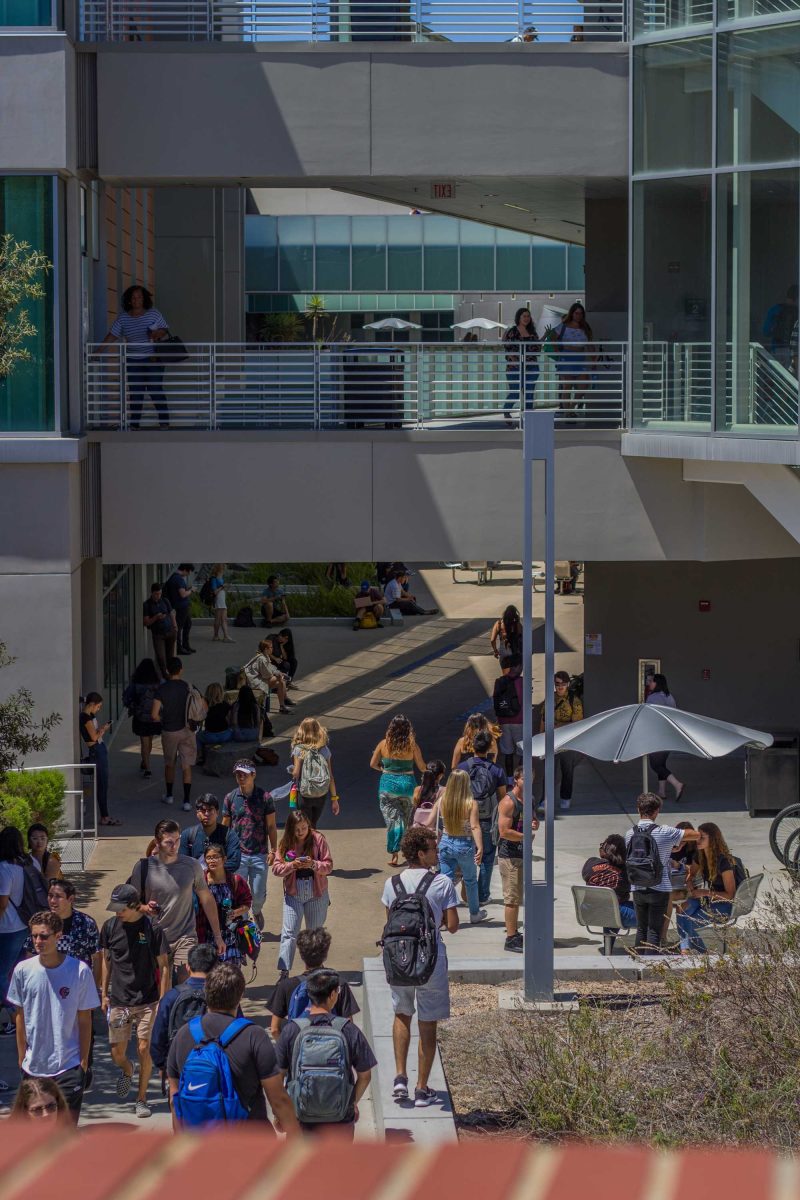 Students in the first week of school. (Telescope Staff/The Telescope)