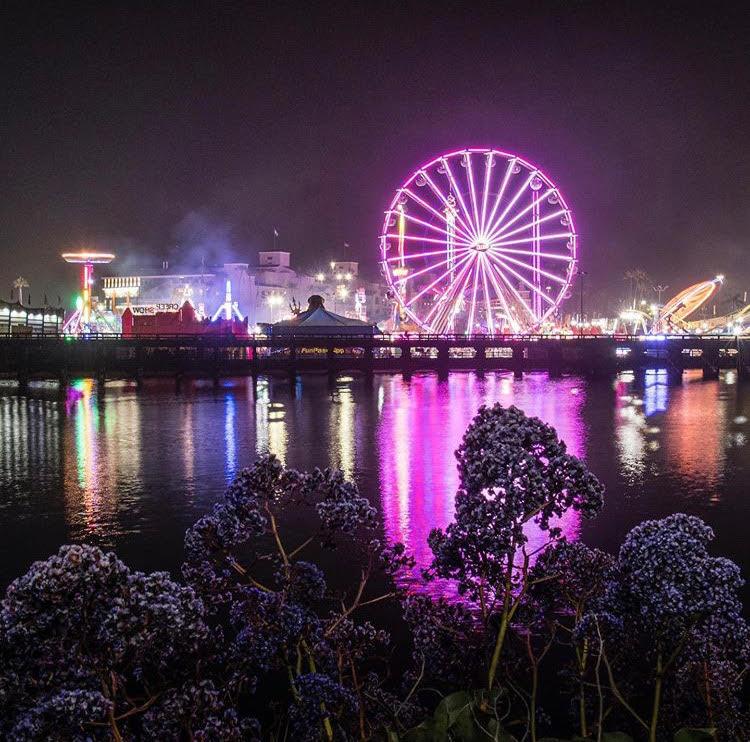 San Diego County Fair Landscape. Ferris wheel along other rides are lit up brightly at night.