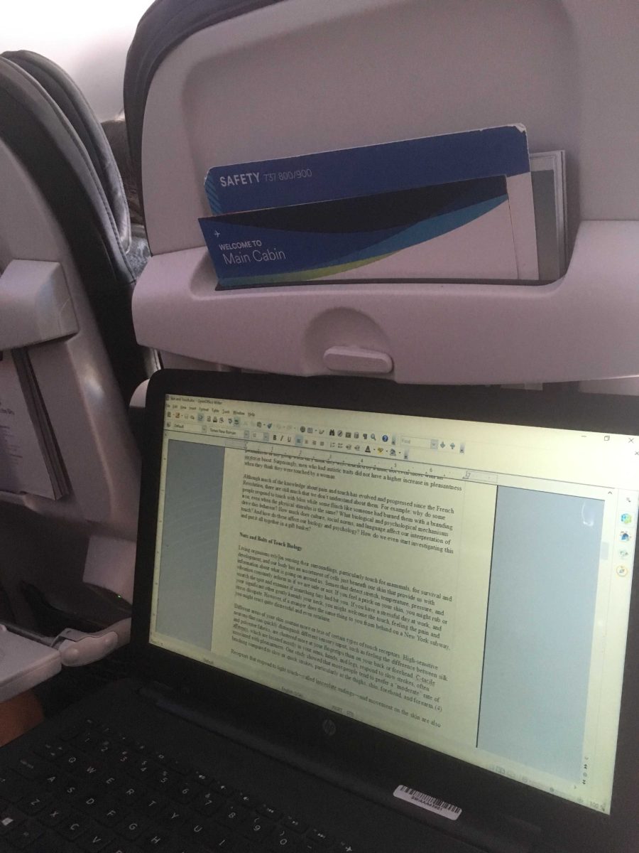 remote work airplane travel