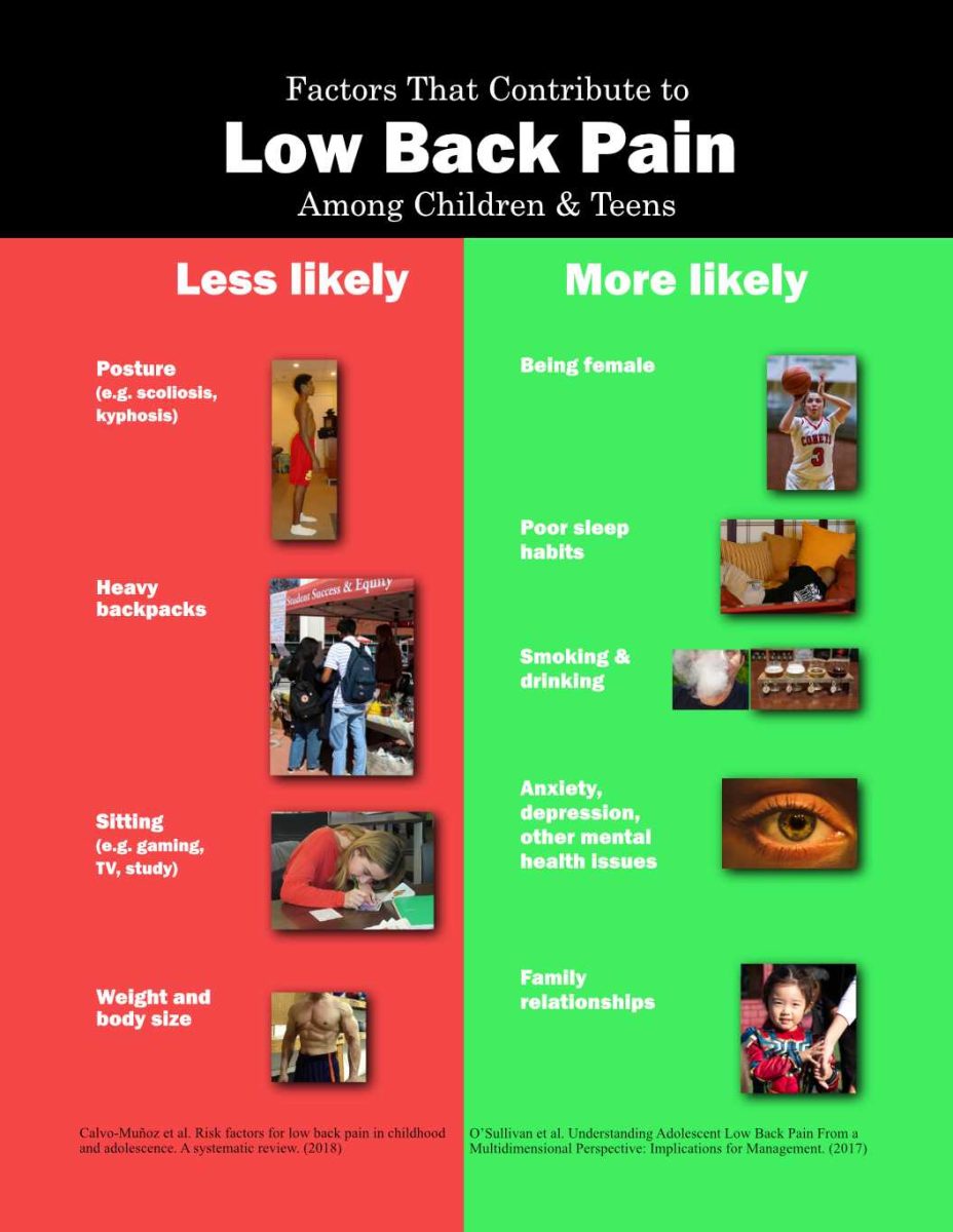 An informational graphic on lower back pain, what causes low back pain