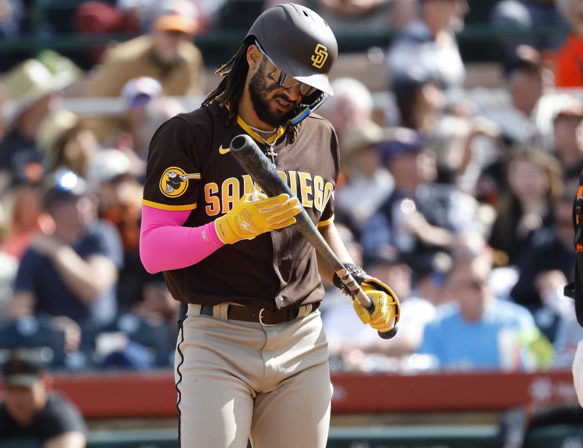 San Diego Padres baseball player Fernando Tatis Jr. holds and examines a baseball bat with crowd in the background.