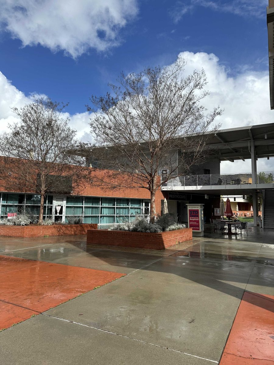 Palomar Student Union Building, Wednesday, Feb. 7 2024. Photo credit: Selina Barrera