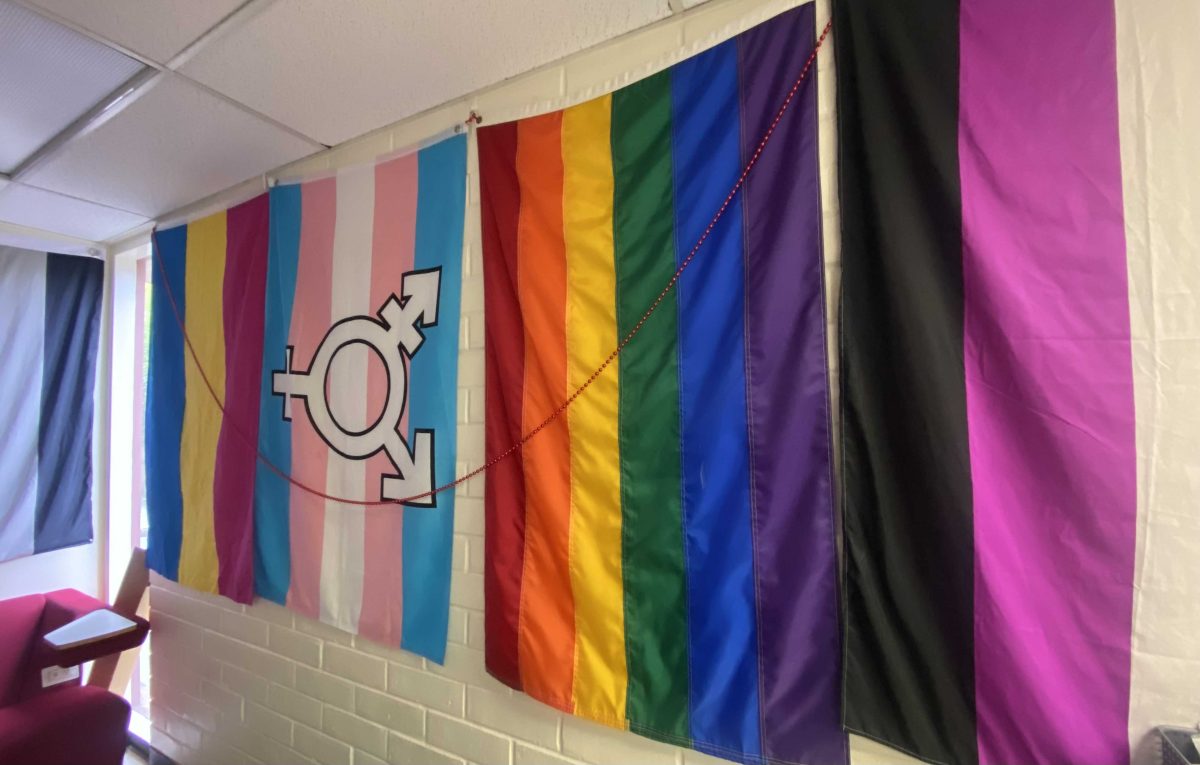 Pride flags are hung proudly along the walls of Palomar's Pride Center. Photo credit: Monica Garcia