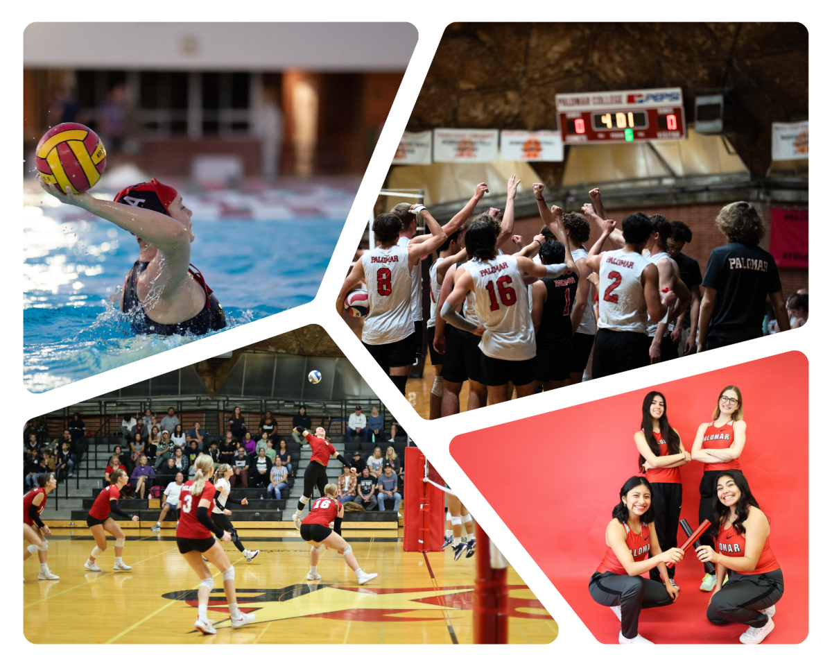 Top: water polo athlete Roxanne Hall and Men's volley ball team. Bottom: Women's volleyball and Women's track team. Photos courtesy of Hector Flores, Hugh Cox, and Cara Heise,.