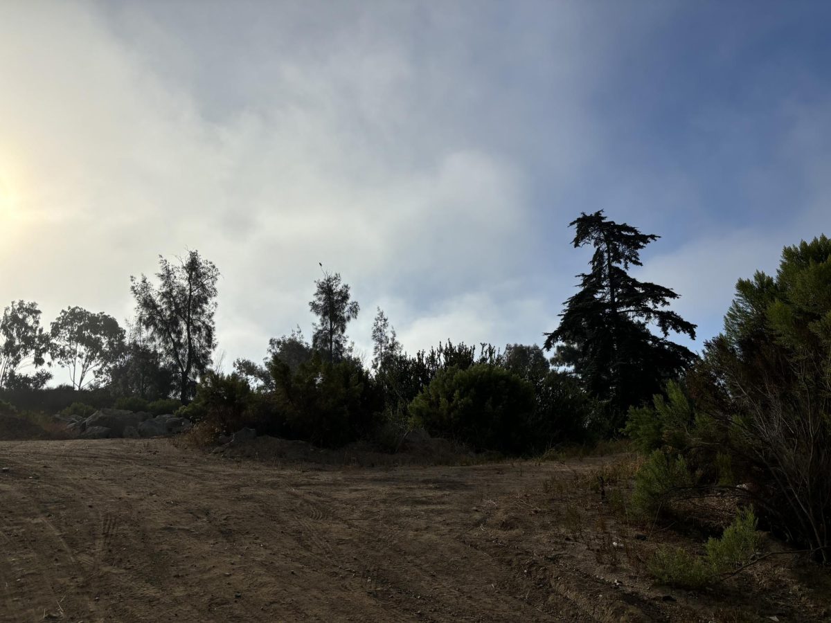 One of the canyons on the Palomar campus, located behind the baseball field.