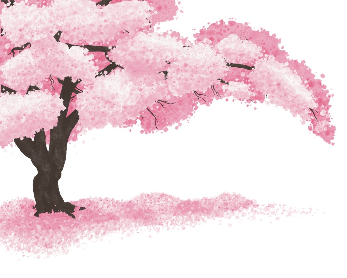 An illustration of a cherry blossom tree.