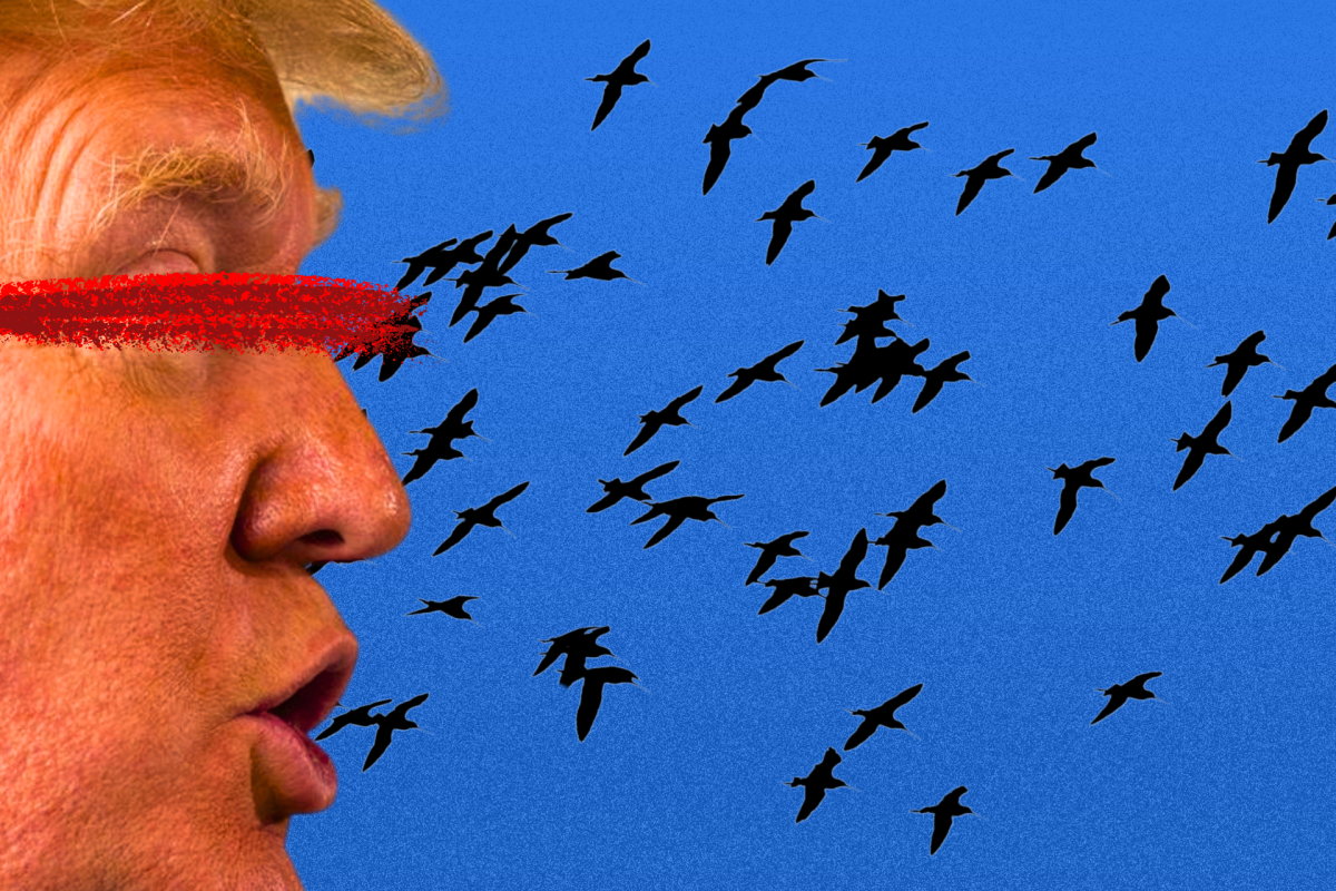 The Trump administration seems to prioritize self-serving agendas while bird flu takes flight. Illustration made with Canva.