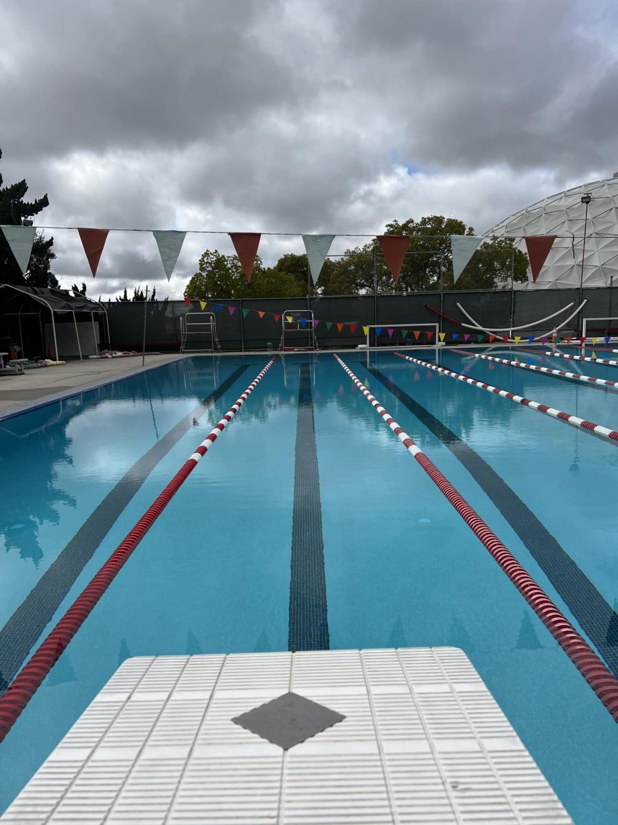 Palomar pool from the starting block.