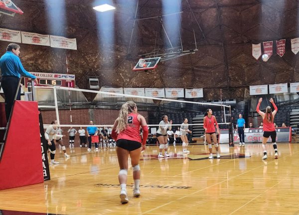 Palomar player in a red jersey number 12 waits while another player to push a descending volleyball in her direction to hit the ball at the opposing side of the net.