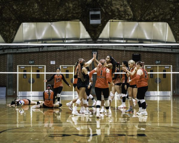 Palomar volleyball players in red celebrate with a high five and applause in the middle of the court.