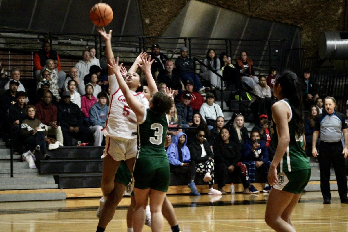 Comets net over 90 points in back-to-back days, showcasing offensive talent.