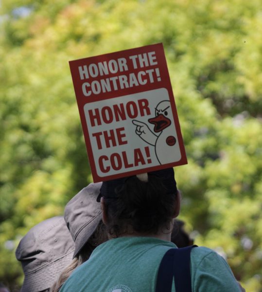From behind, a person in a green shirt and cap holds a red sign above their head that reads “Honor the contract! Honor the COLA!” in front of a backdrop of green trees.