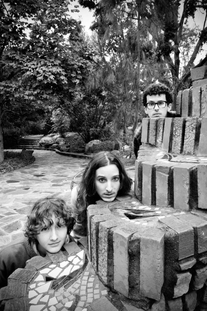 Devin Sabato's winning photograph of Gavin Cann (left), Gabriel Rosenthal (center) and Nathan Rosenthal (right) at the Arboretum for Focus Magazine.  