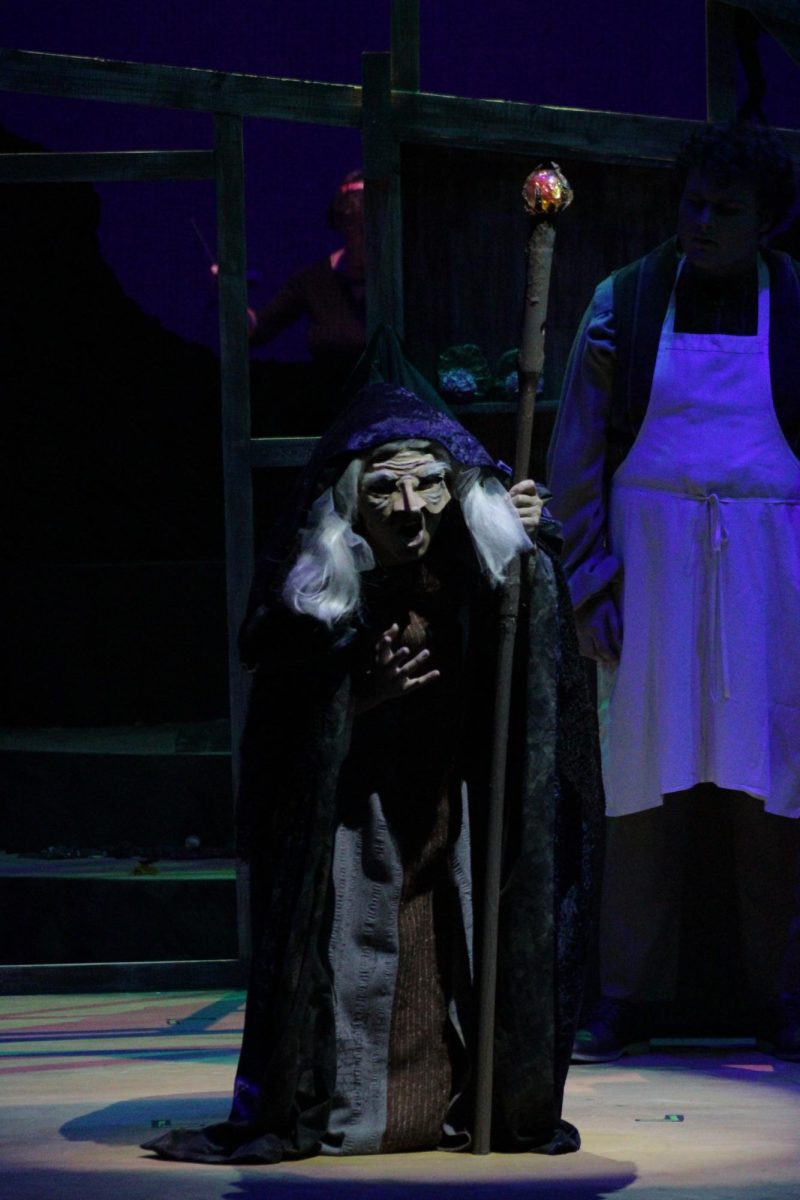 Actress Mya Feiga wears a mask portraying an old hag with long grey hair while holding a staff as she portrays The Witch in the Palomar play "Into the Woods."