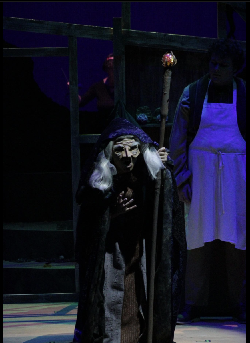 Actress Mya Feiga portrays The Witch for Palomar’s performance of “Into the Woods” during a dress rehearsal on Feb. 3 at Howard Brubeck Theatre at Palomar College. 