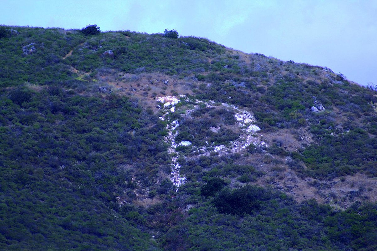 The Palomar P on "P" mountain is faded and overgrown after years of neglect.